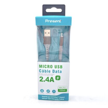 Cable Chargeur/ Data USB à Micro USB - 2,4A - 100m