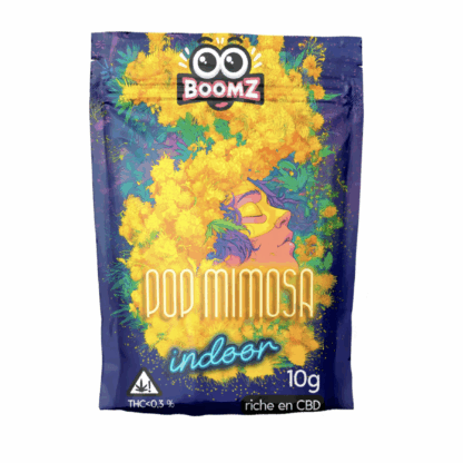 Sachet 5g Indoor Mimosa - Boomz